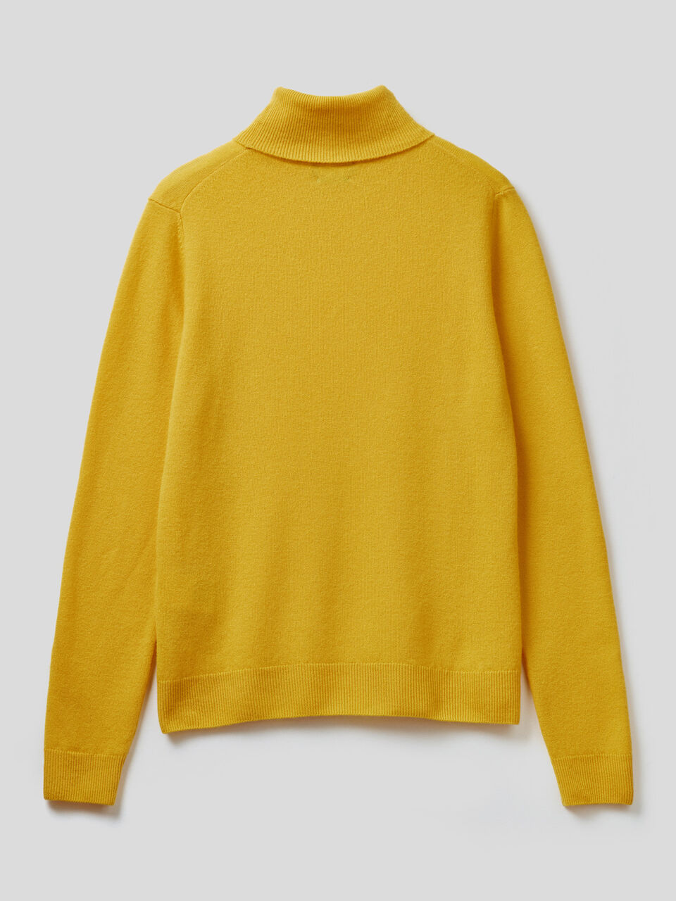 Turtleneck sweater in pure virgin wool image number 2
