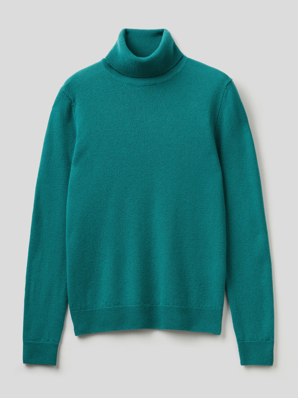 Turtleneck sweater in pure virgin wool image number 1