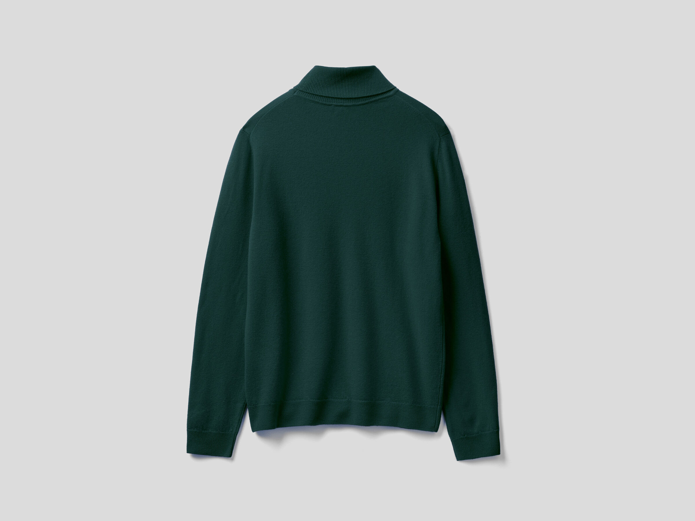 Turtleneck in pure virgin wool image number 5