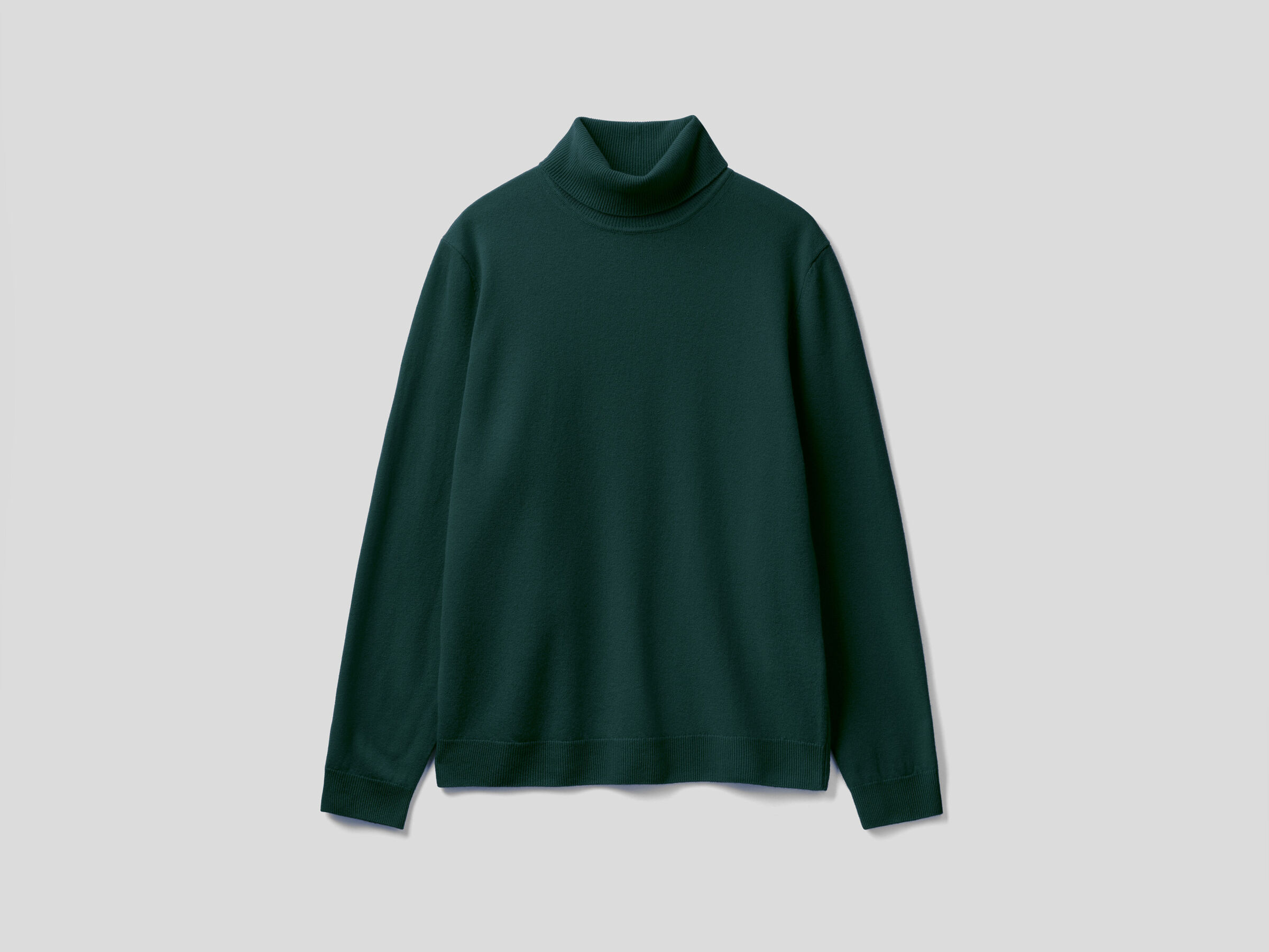 Turtleneck in pure virgin wool image number 4