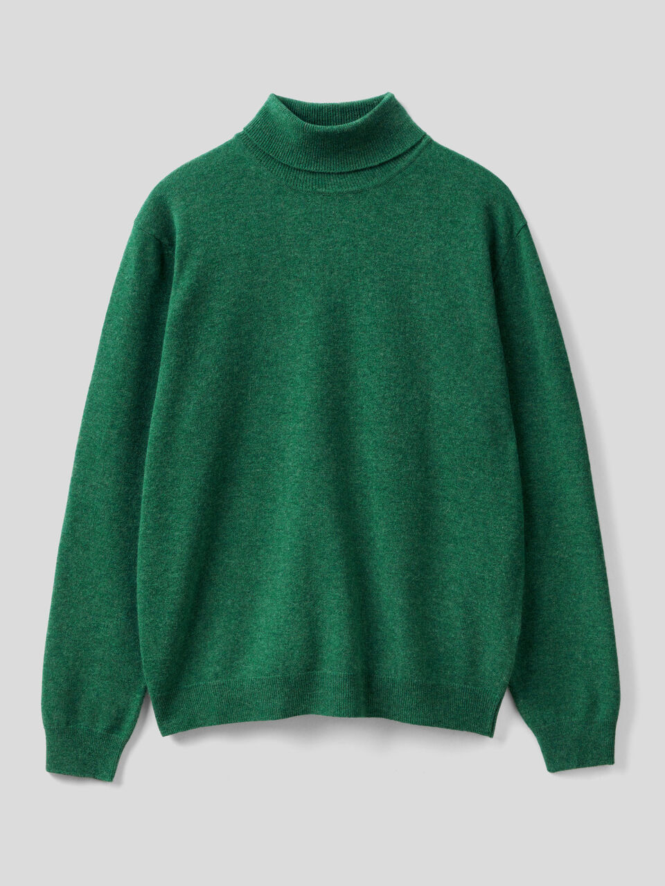 Turtleneck in pure virgin wool image number 1
