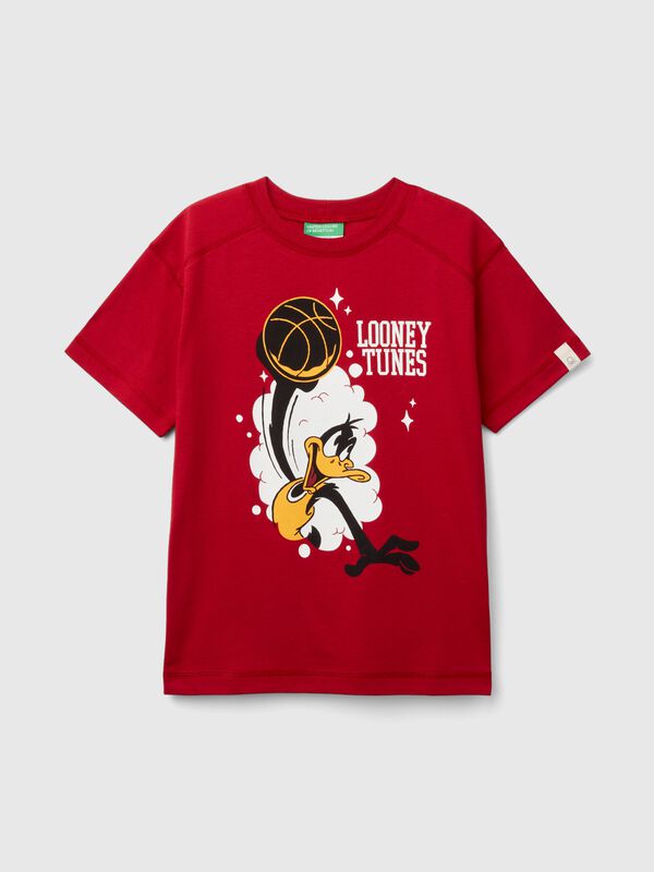 Short sleeve ©Looney Tunes t-shirt Junior Boy