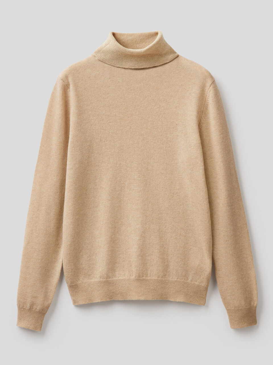 Turtleneck sweater in pure virgin wool image number 1