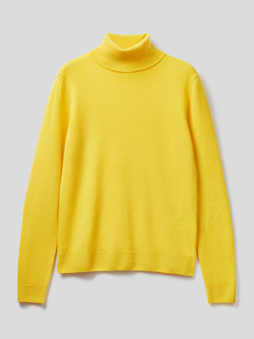 Turtleneck sweater in pure virgin wool image number 1