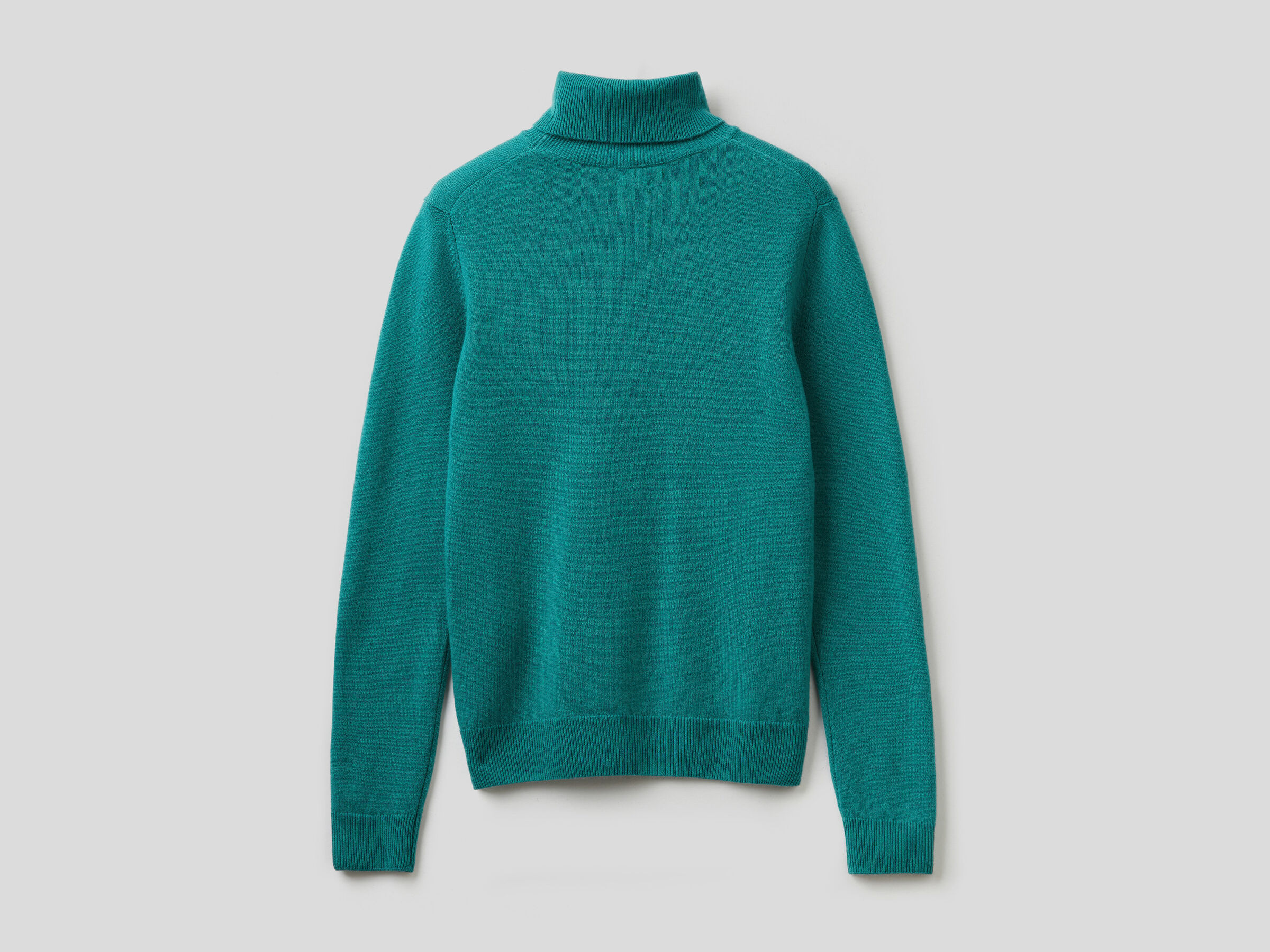 Turtleneck sweater in pure virgin wool image number 6