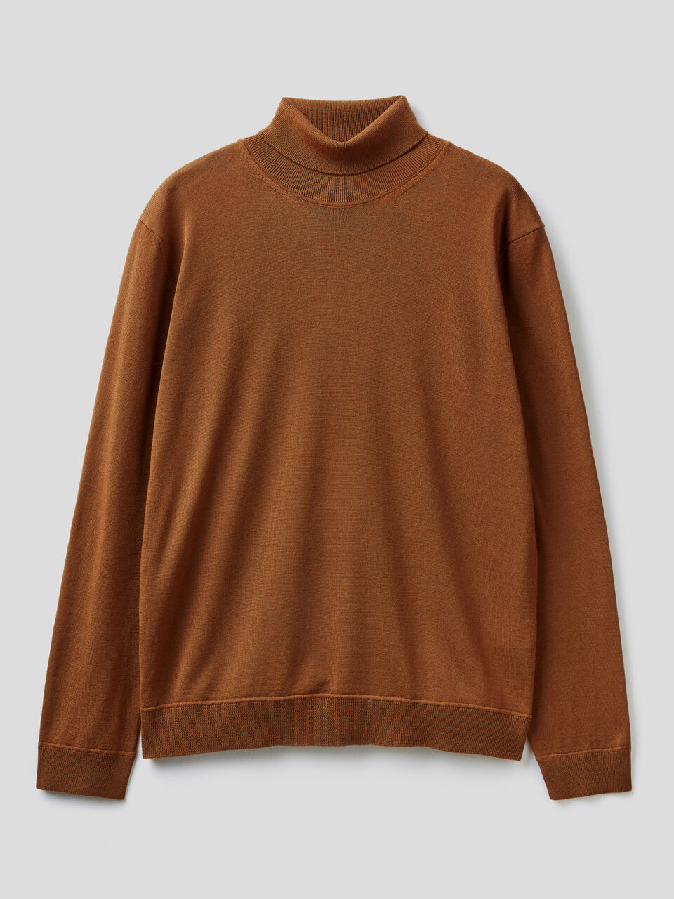 Turtleneck in pure virgin wool image number 1