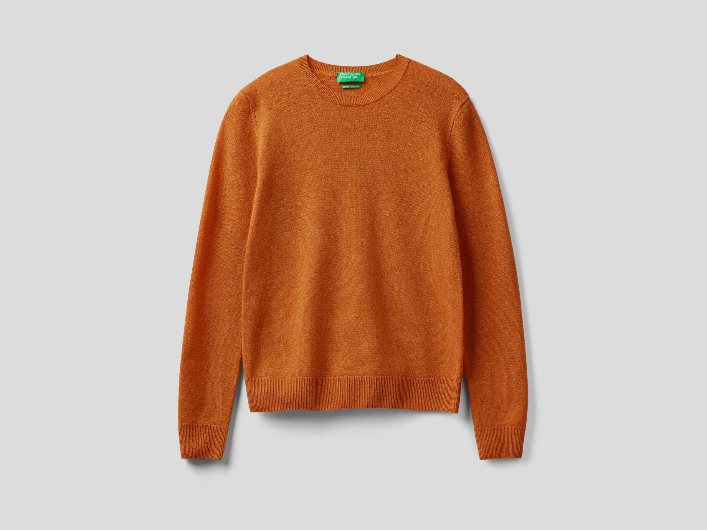 Crew neck sweater in pure virgin wool image number 5