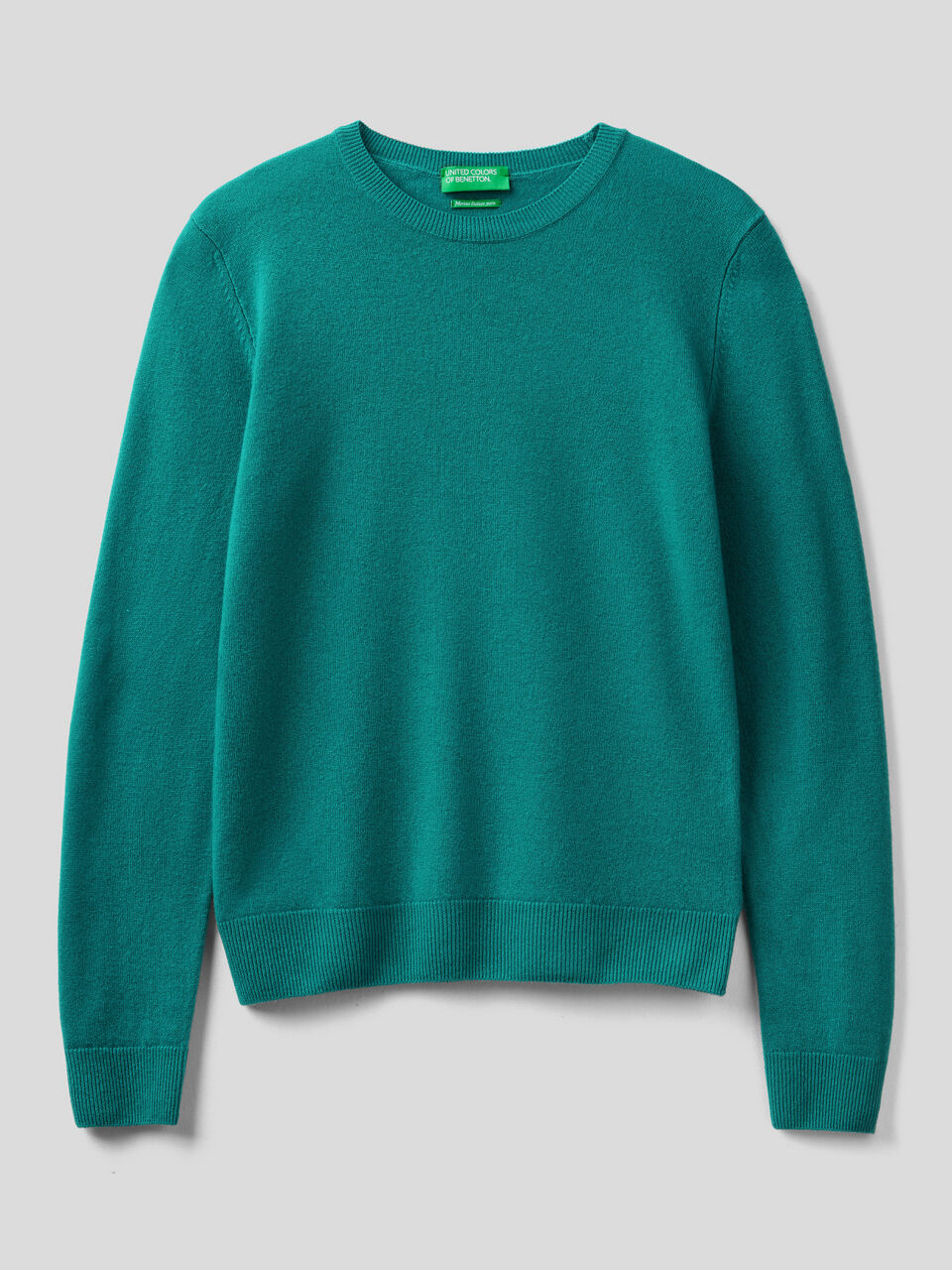 Crew neck sweater in pure virgin wool image number 1