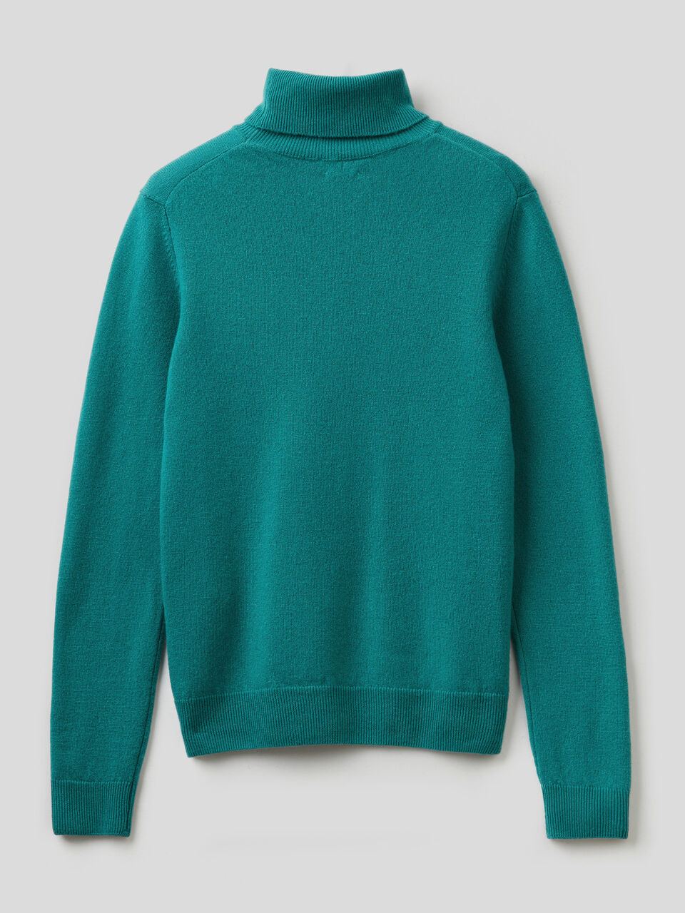 Turtleneck sweater in pure virgin wool image number 2
