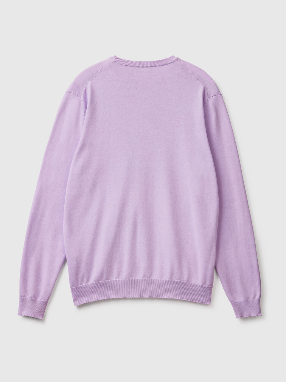 Crew neck sweater in 100% cotton image number 2