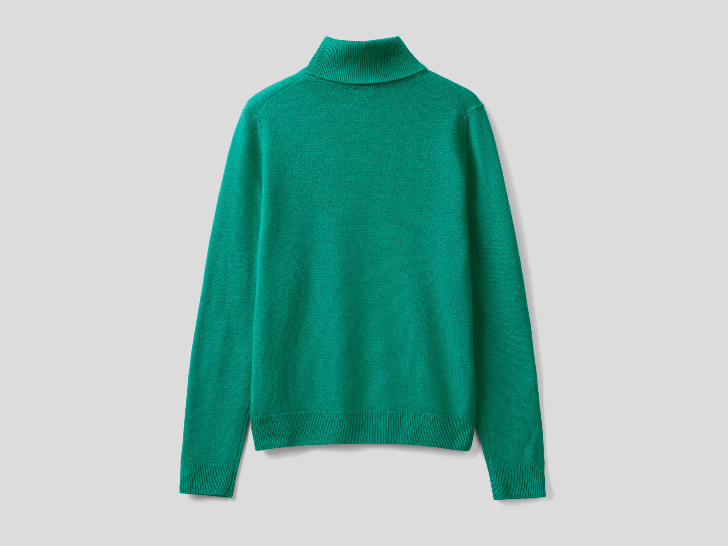 Turtleneck sweater in pure virgin wool image number 5