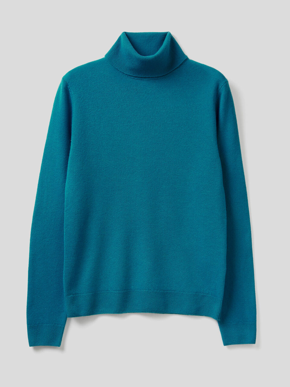 Turtleneck sweater in pure virgin wool image number 1