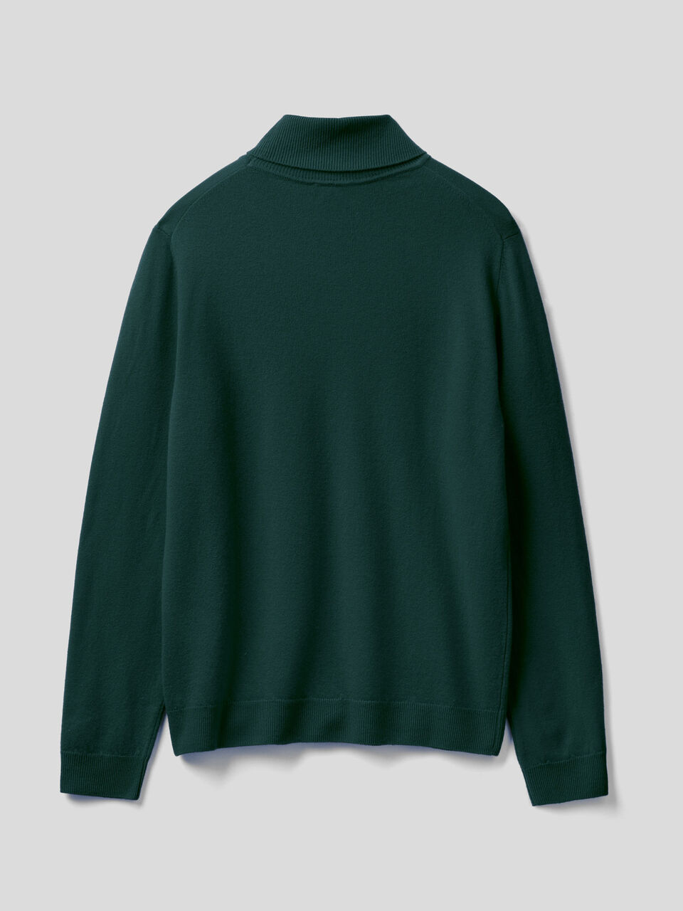 Turtleneck in pure virgin wool image number 2