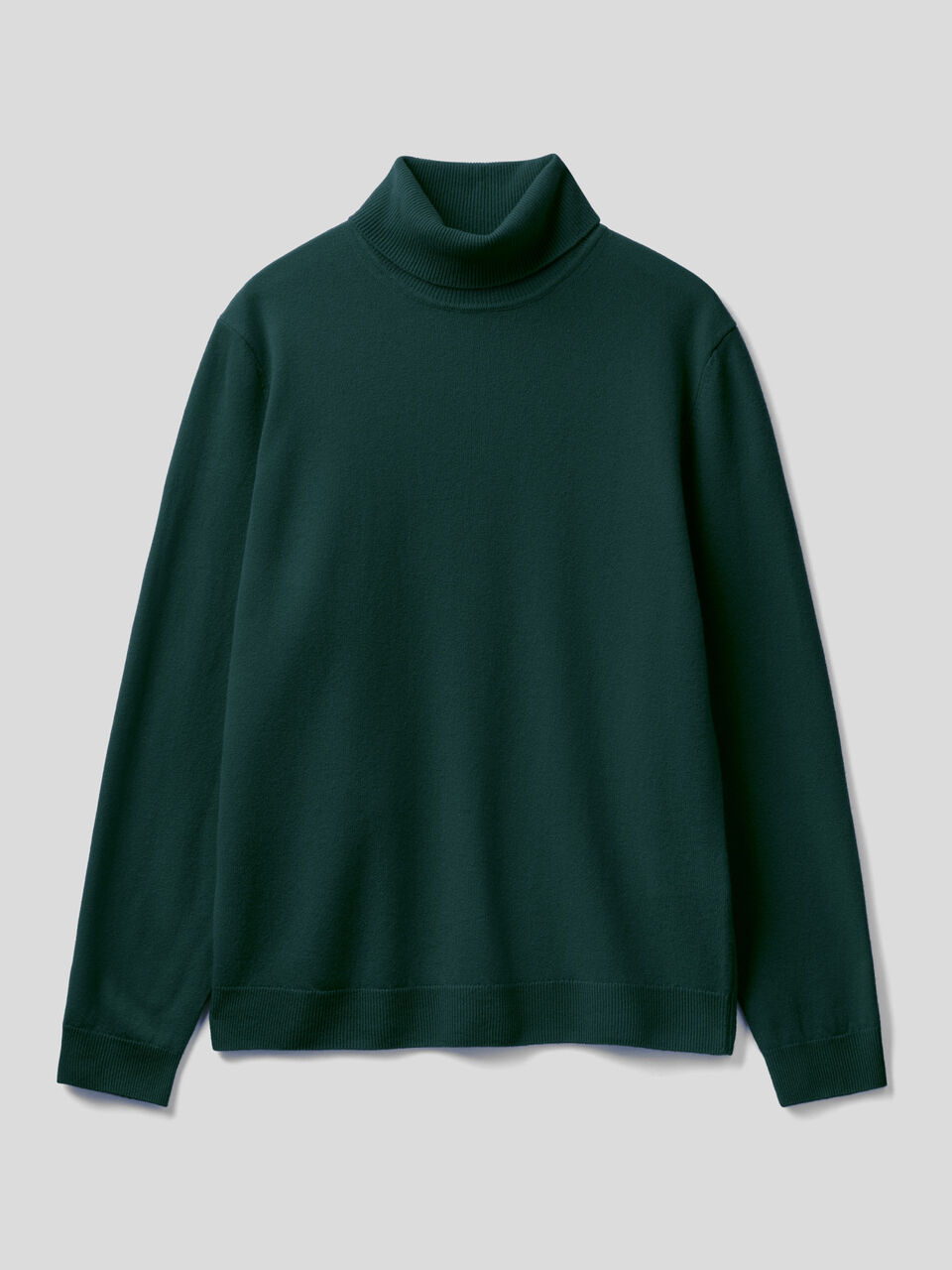 Turtleneck in pure virgin wool image number 1