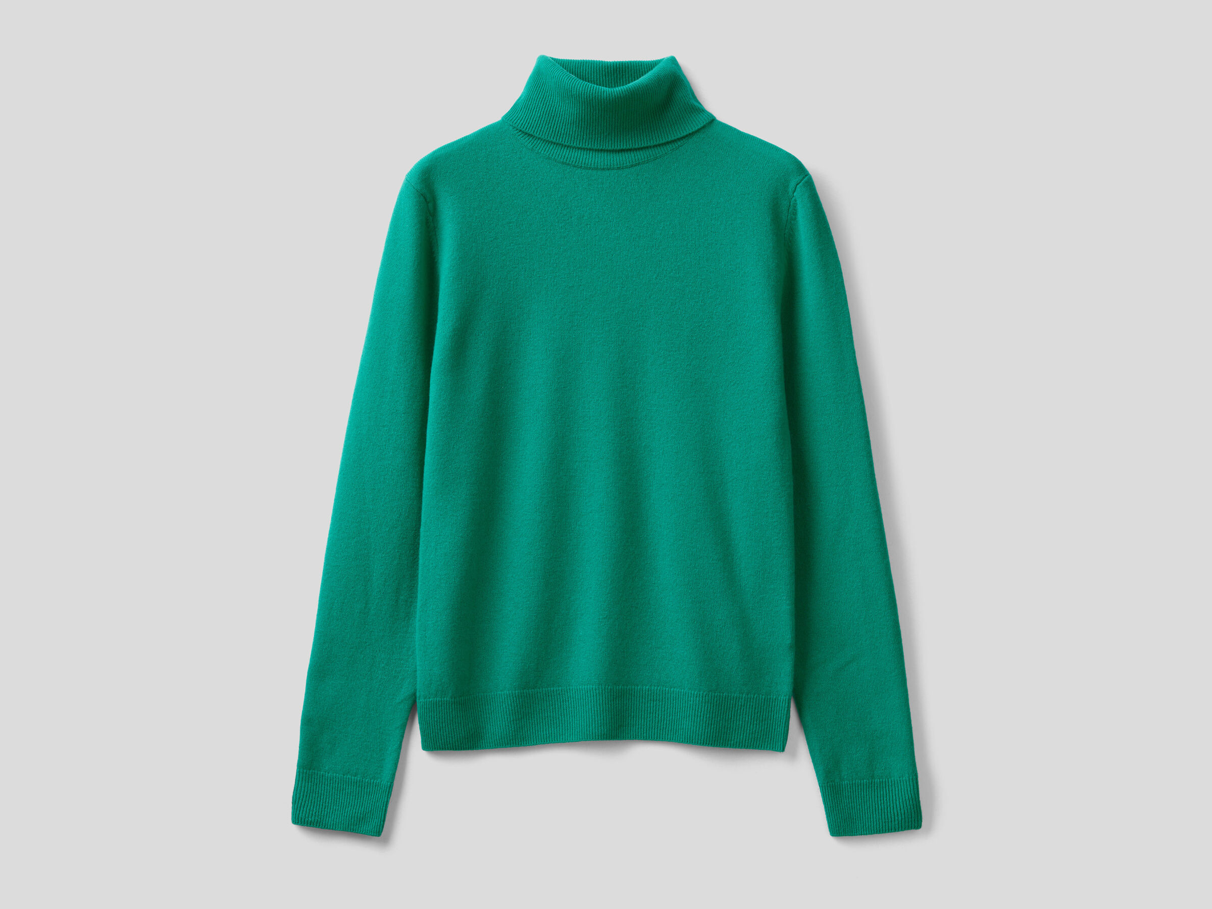 Turtleneck sweater in pure virgin wool image number 4