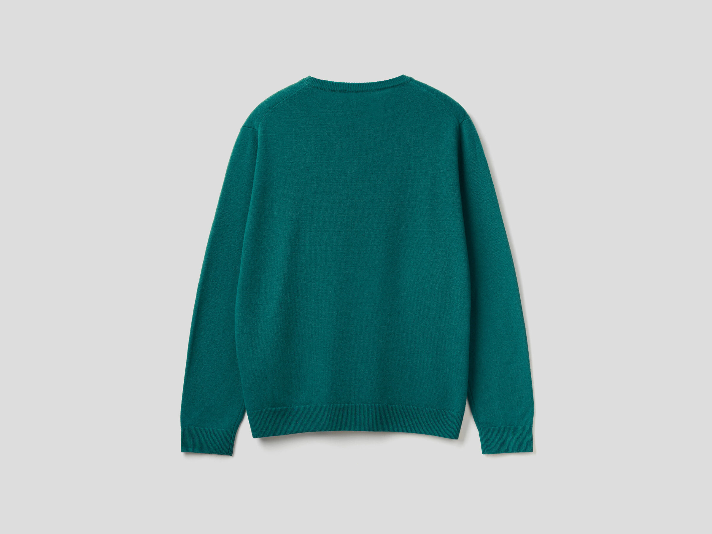 Crew neck sweater in pure virgin wool image number 5