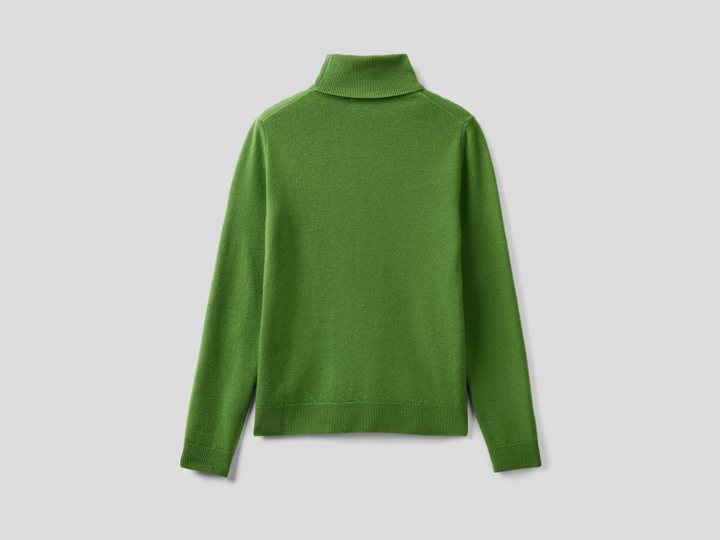 Turtleneck sweater in pure virgin wool image number 6