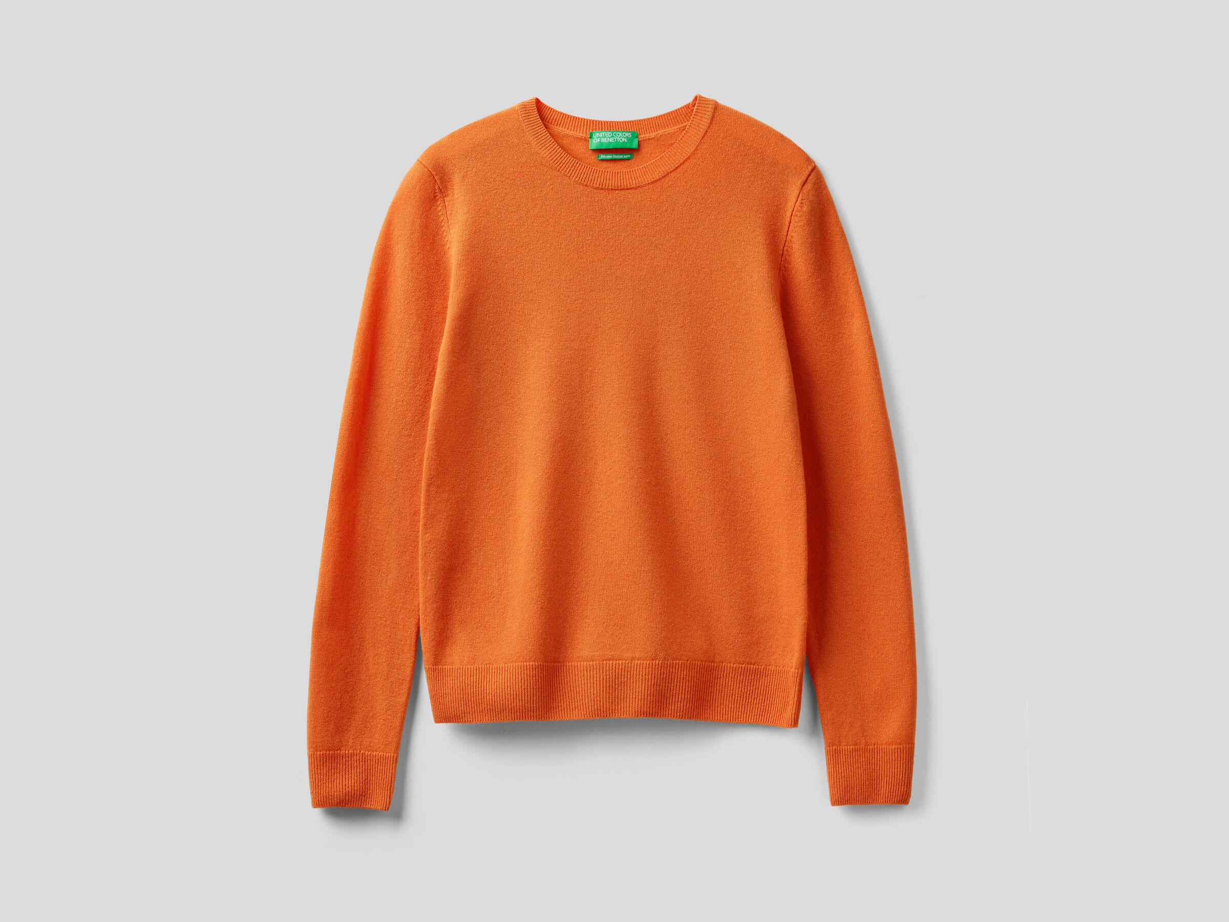 Crew neck sweater in pure virgin wool image number 5