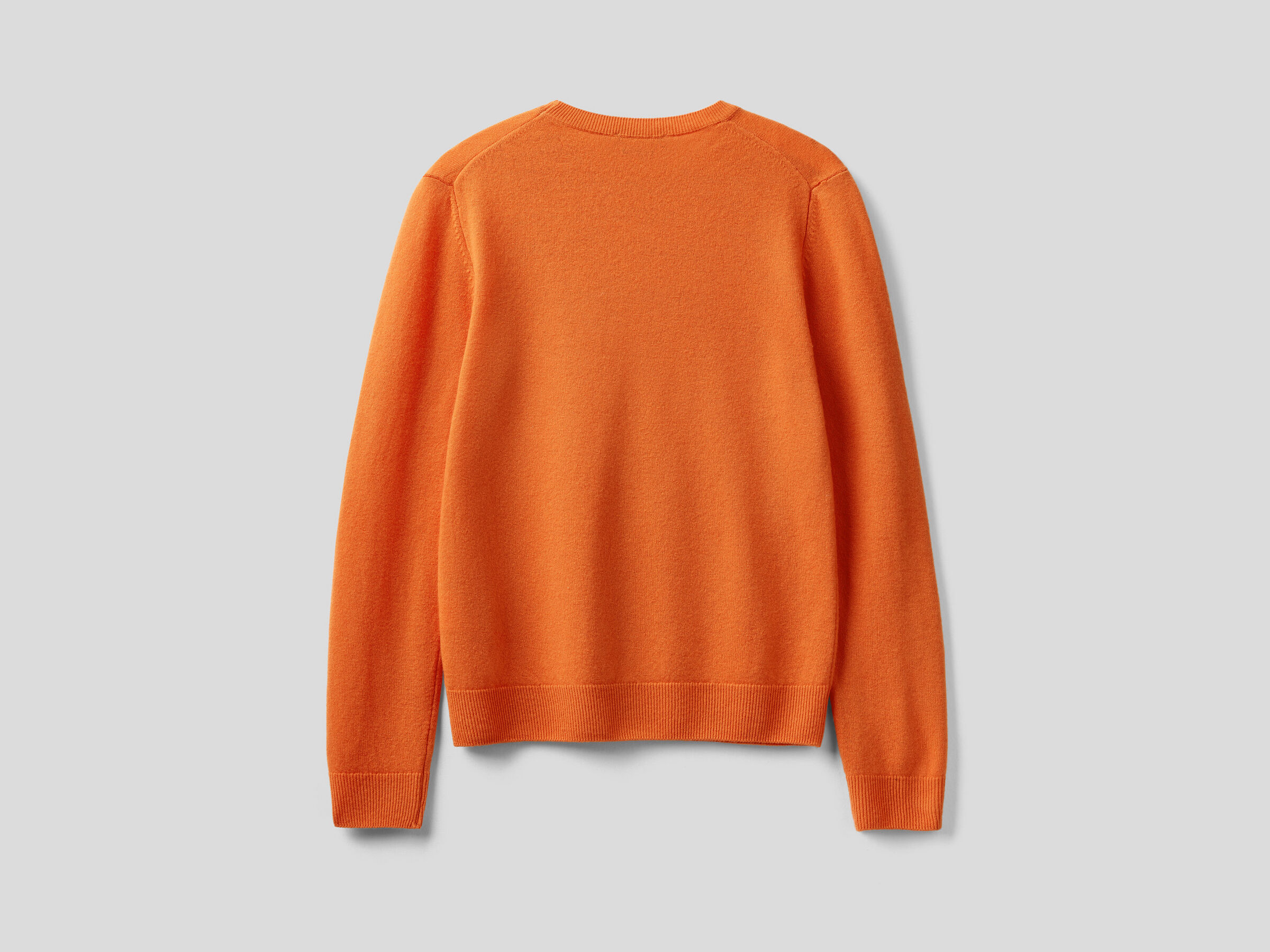 Crew neck sweater in pure virgin wool image number 6