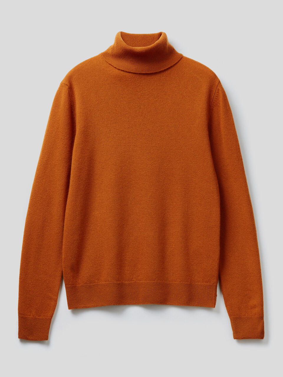 Turtleneck sweater in pure virgin wool image number 1