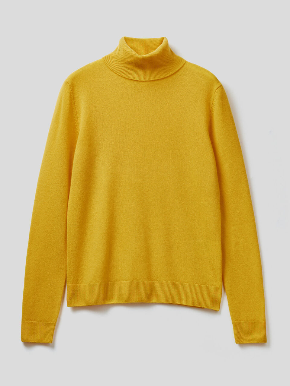 Turtleneck sweater in pure virgin wool image number 1