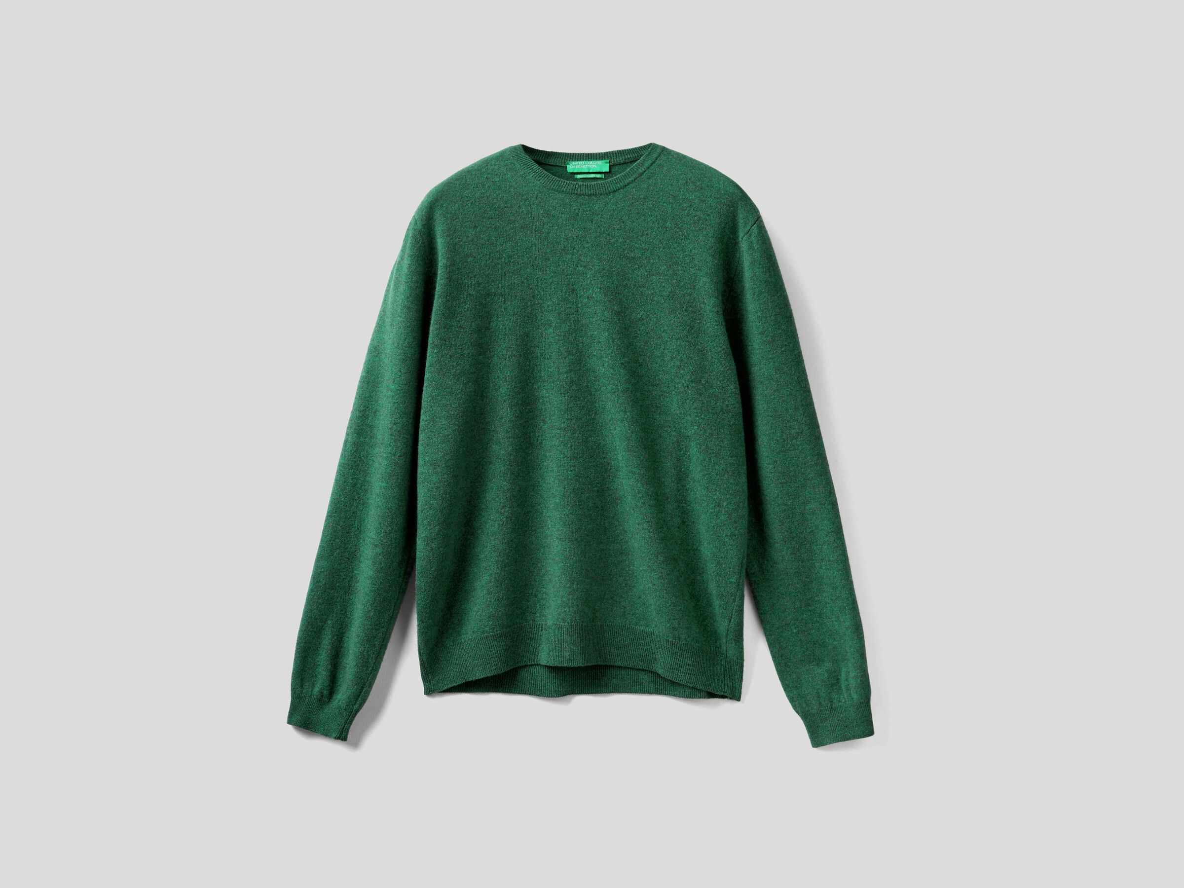 Crew neck sweater in pure virgin wool image number 5