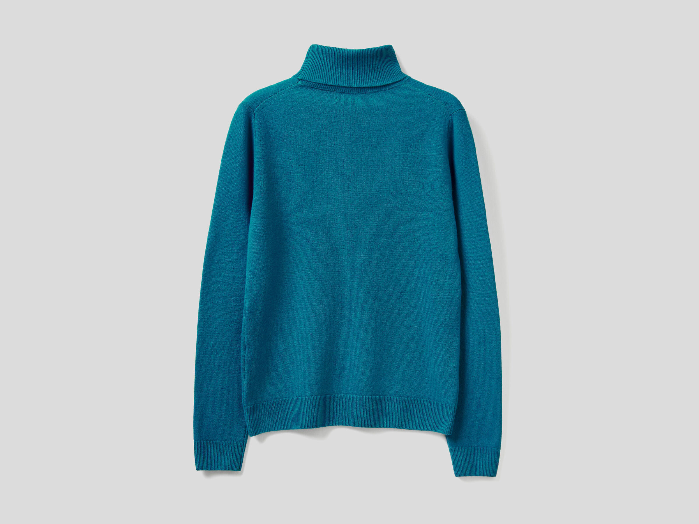Turtleneck sweater in pure virgin wool image number 6